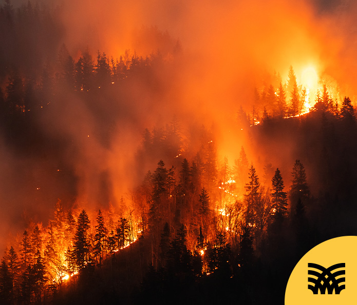 California Wildfires